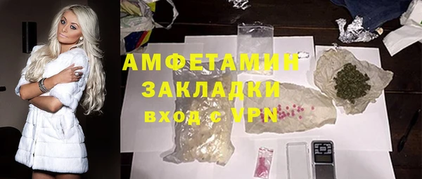 индика Верхний Тагил