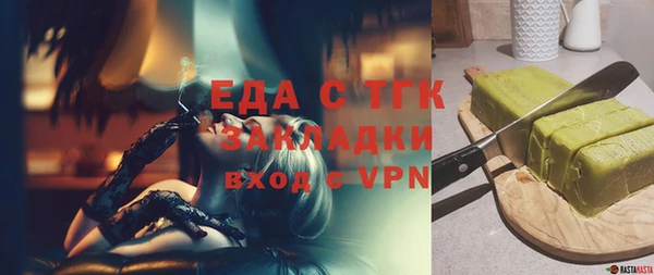 индика Верхний Тагил