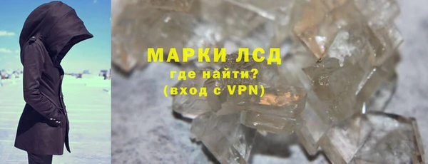индика Верхний Тагил