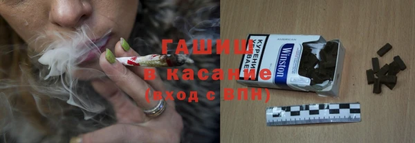 индика Верхний Тагил