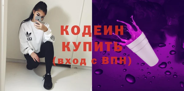 индика Верхний Тагил