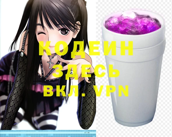 индика Верхний Тагил