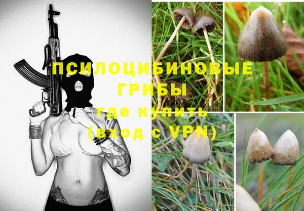 дурь Верея