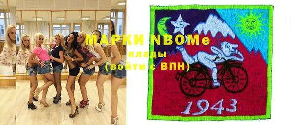 индика Верхний Тагил