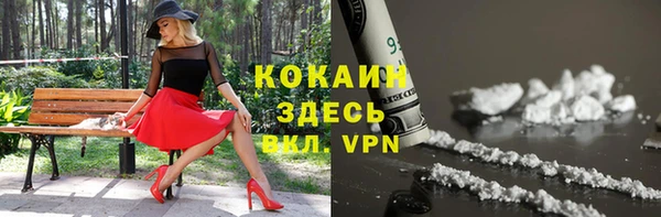 индика Верхний Тагил