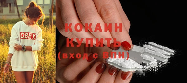 индика Верхний Тагил