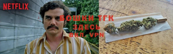 индика Верхний Тагил